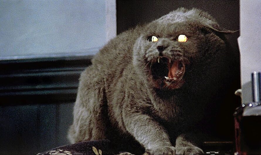 วิเคราะห์เนื้อหา Pet Sematary รู้สึกเหมือนติดอยู่ในหนัง