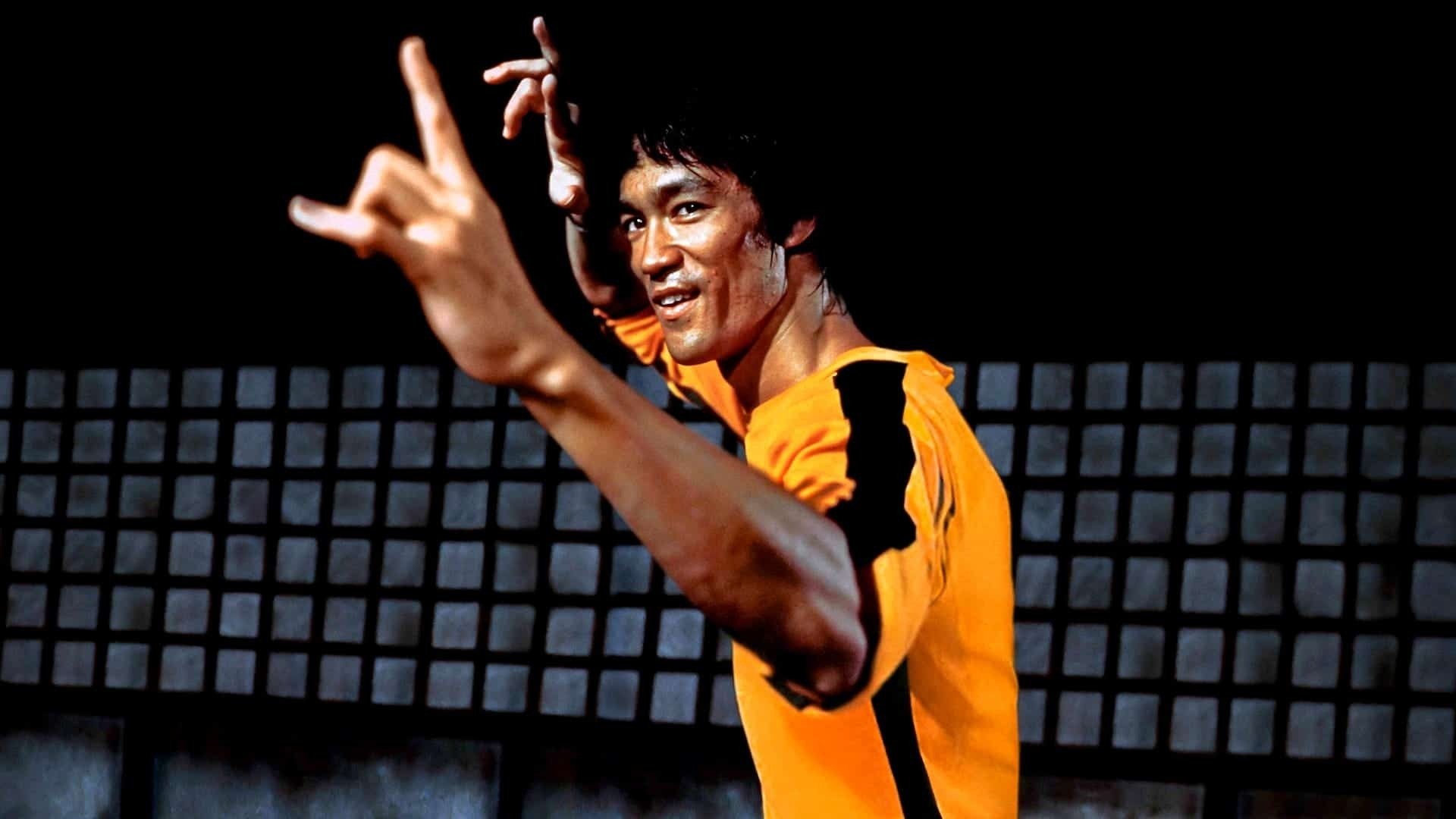 Iron Fists and Kung Fu Kicks รีวิวหนัง